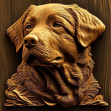 3D model st Chesapeake Bay Retriever dog (STL)